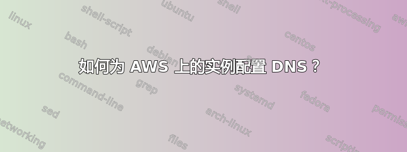 如何为 AWS 上的实例配置 DNS？