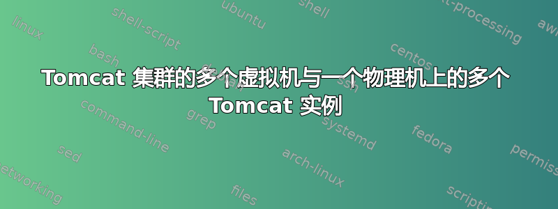 Tomcat 集群的多个虚拟机与一个物理机上的多个 Tomcat 实例