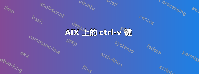 AIX 上的 ctrl-v 键