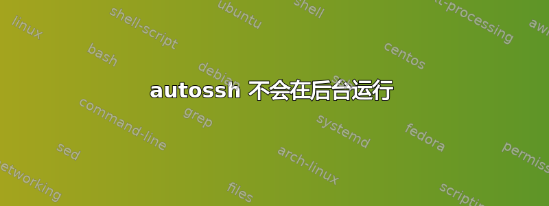 autossh 不会在后台运行