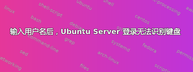 输入用户名后，Ubuntu Server 登录无法识别键盘