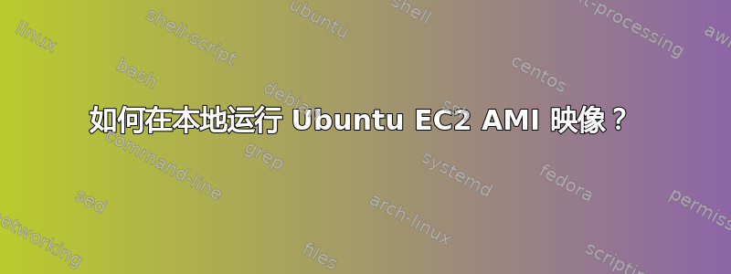 如何在本地运行 Ubuntu EC2 AMI 映像？