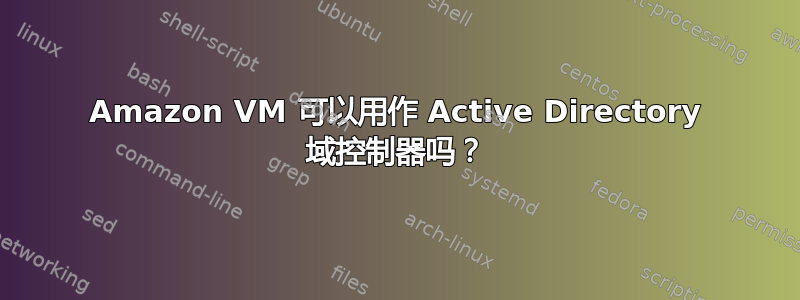 Amazon VM 可以用作 Active Directory 域控制器吗？