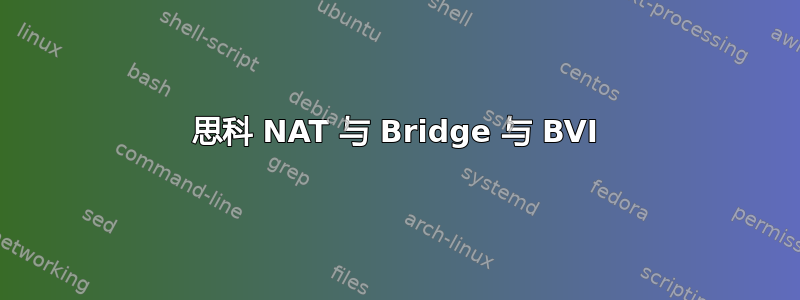 思科 NAT 与 Bridge 与 BVI