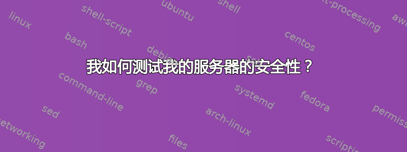 我如何测试我的服务器的安全性？