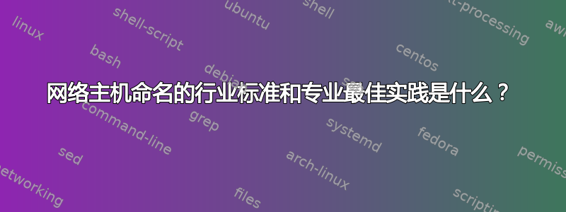 网络主机命名的行业标准和专业最佳实践是什么？