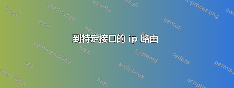 到特定接口的 ip 路由