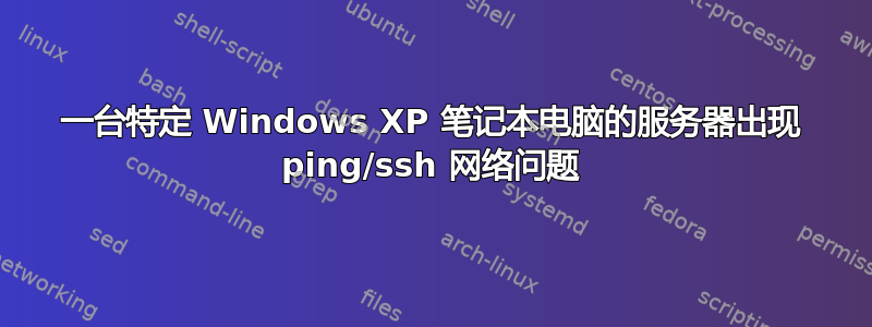 一台特定 Windows XP 笔记本电脑的服务器出现 ping/ssh 网络问题