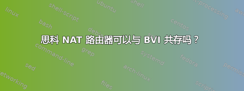 思科 NAT 路由器可以与 BVI 共存吗？