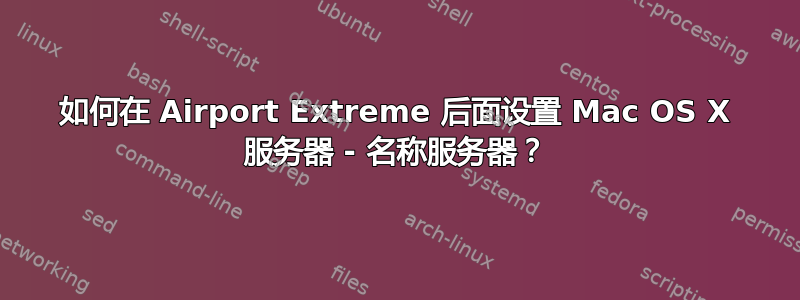 如何在 Airport Extreme 后面设置 Mac OS X 服务器 - 名称服务器？