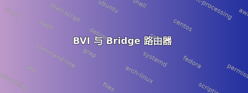 BVI 与 Bridge 路由器