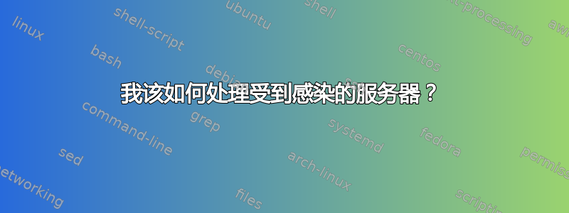 我该如何处理受到感染的服务器？