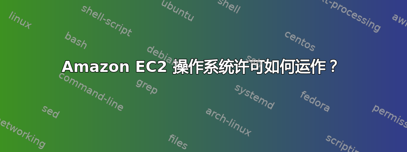 Amazon EC2 操作系统许可如何运作？