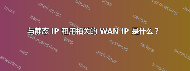 与静态 IP 租用相关的 WAN IP 是什么？