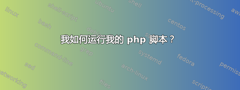 我如何运行我的 php 脚本？