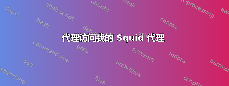 代理访问我的 Squid 代理