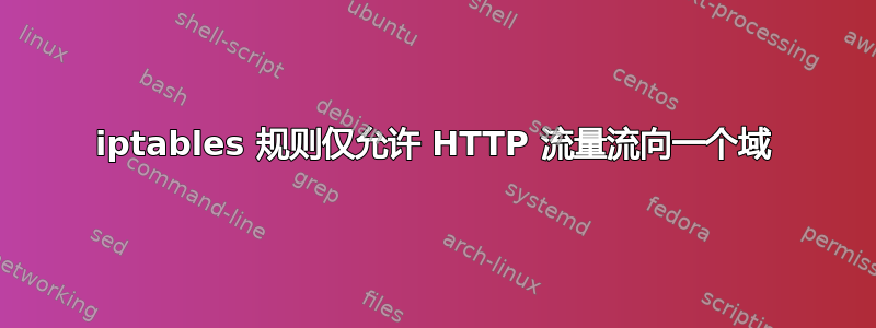 iptables 规则仅允许 HTTP 流量流向一个域