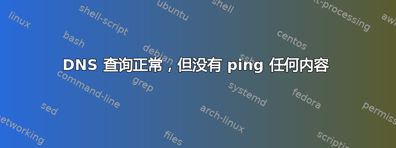 DNS 查询正常，但没有 ping 任何内容