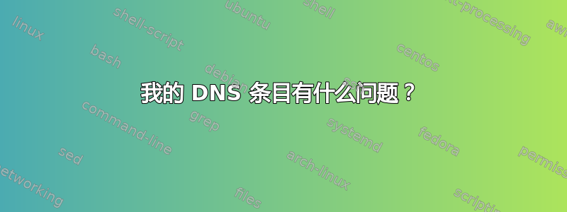 我的 DNS 条目有什么问题？