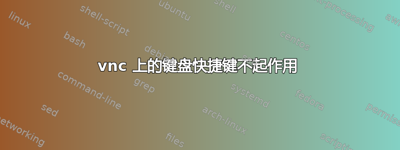 vnc 上的键盘快捷键不起作用