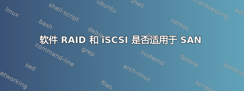 软件 RAID 和 iSCSI 是否适用于 SAN