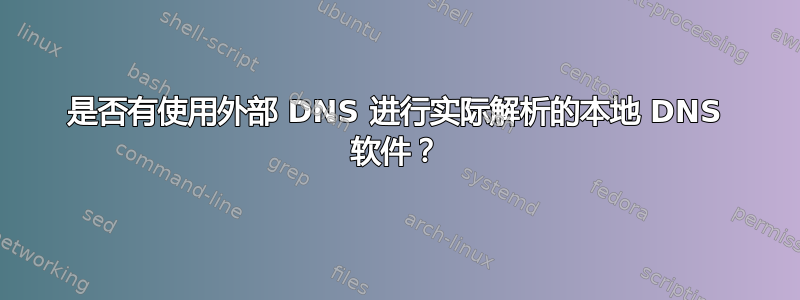 是否有使用外部 DNS 进行实际解析的本地 DNS 软件？