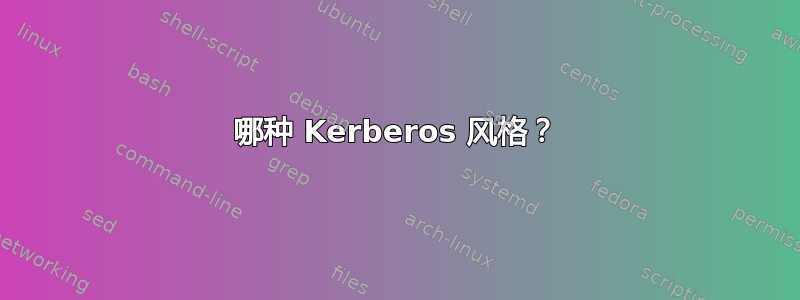 哪种 Kerberos 风格？