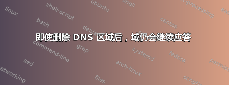 即使删除 DNS 区域后，域仍会继续应答