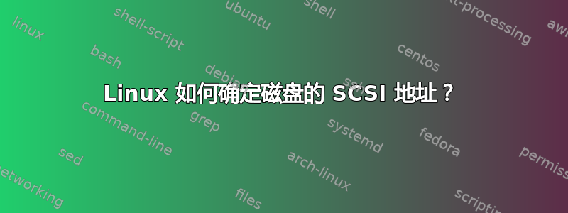 Linux 如何确定磁盘的 SCSI 地址？