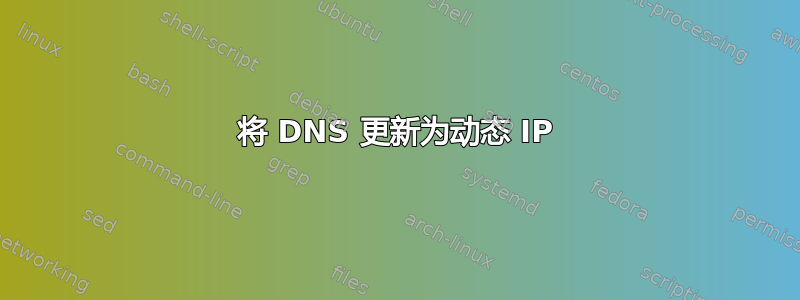 将 DNS 更新为动态 IP