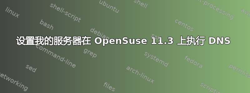 设置我的服务器在 OpenSuse 11.3 上执行 DNS