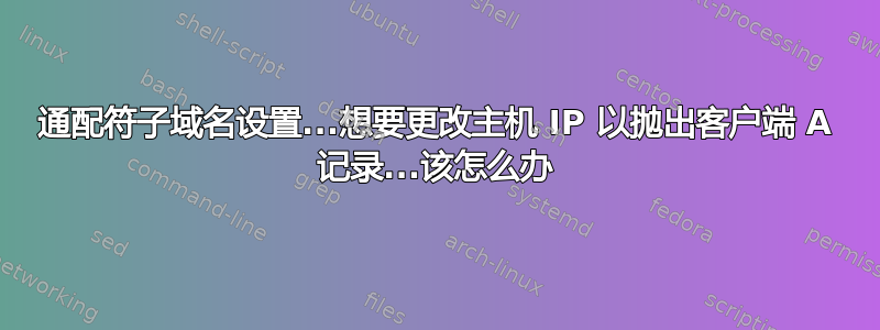 通配符子域名设置...想要更改主机 IP 以抛出客户端 A 记录...该怎么办