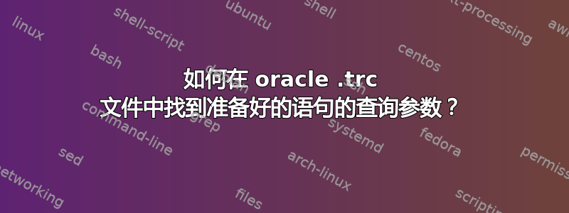 如何在 oracle .trc 文件中找到准备好的语句的查询参数？