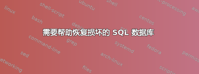 需要帮助恢复损坏的 SQL 数据库