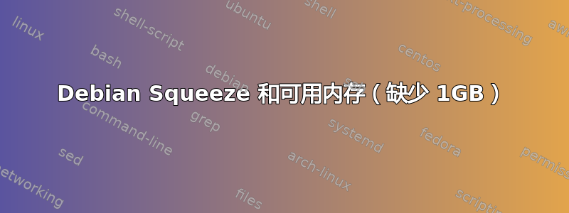 Debian Squeeze 和可用内存（缺少 1GB）