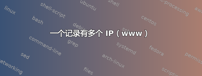 一个记录有多个 IP（www）