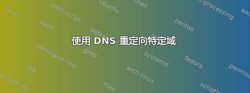 使用 DNS 重定向特定域