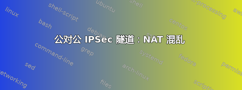 公对公 IPSec 隧道：NAT 混乱