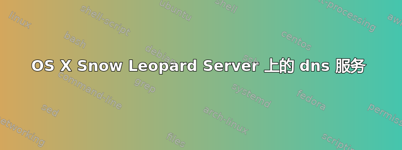 OS X Snow Leopard Server 上的 dns 服务