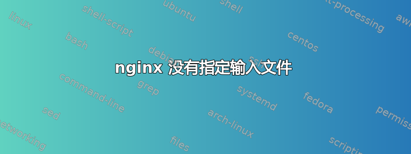 nginx 没有指定输入文件