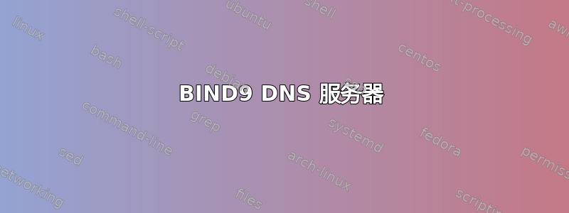 BIND9 DNS 服务器