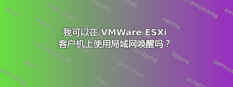 我可以在 VMWare ESXi 客户机上使用局域网唤醒吗？