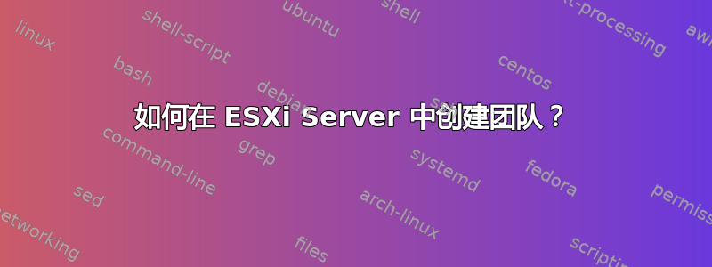 如何在 ESXi Server 中创建团队？