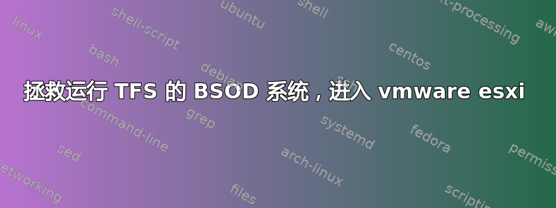 拯救运行 TFS 的 BSOD 系统，进入 vmware esxi