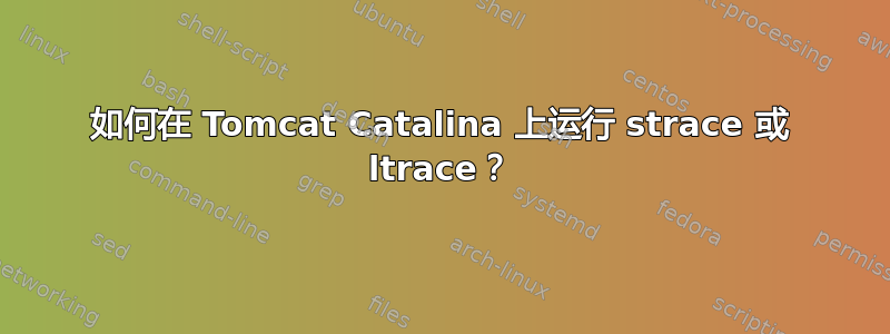 如何在 Tomcat Catalina 上运行 strace 或 ltrace？