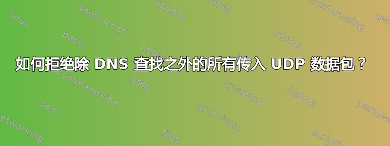 如何拒绝除 DNS 查找之外的所有传入 UDP 数据包？