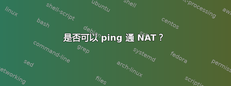 是否可以 ping 通 NAT？