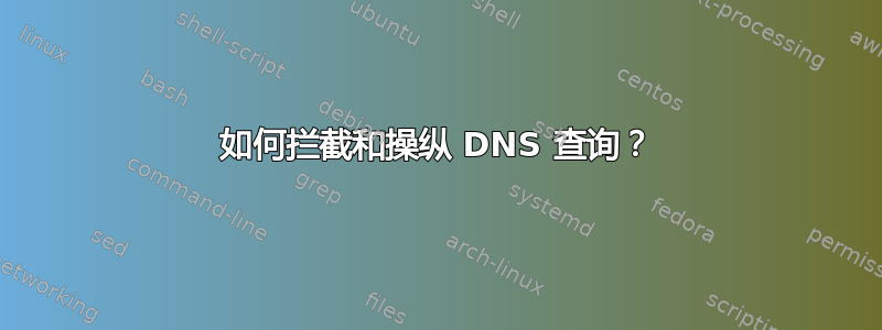 如何拦截和操纵 DNS 查询？