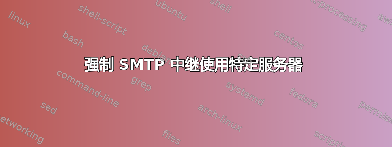 强制 SMTP 中继使用特定服务器