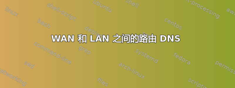 WAN 和 LAN 之间的路由 DNS